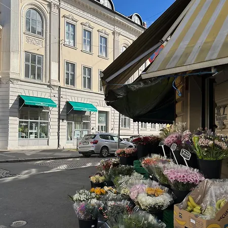 Frogner - - Mai -juni Lägenhet Oslo